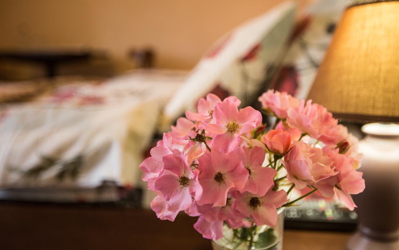 Fazenda Na Goncharakh Hotel Ganchary ภายนอก รูปภาพ